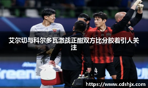 艾尔切与科尔多瓦激战正酣双方比分胶着引人关注